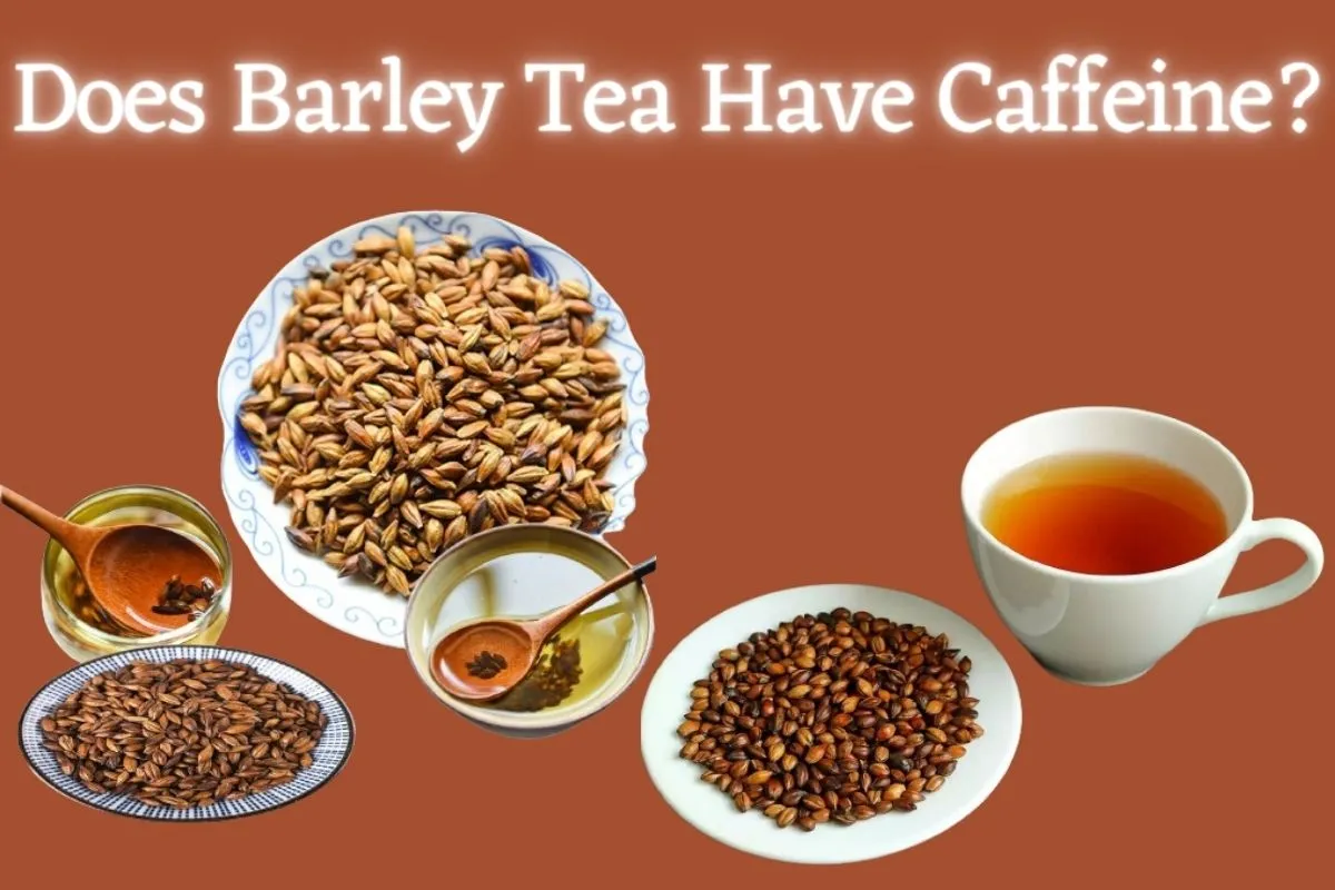 Does Barley Tea Have Caffeine