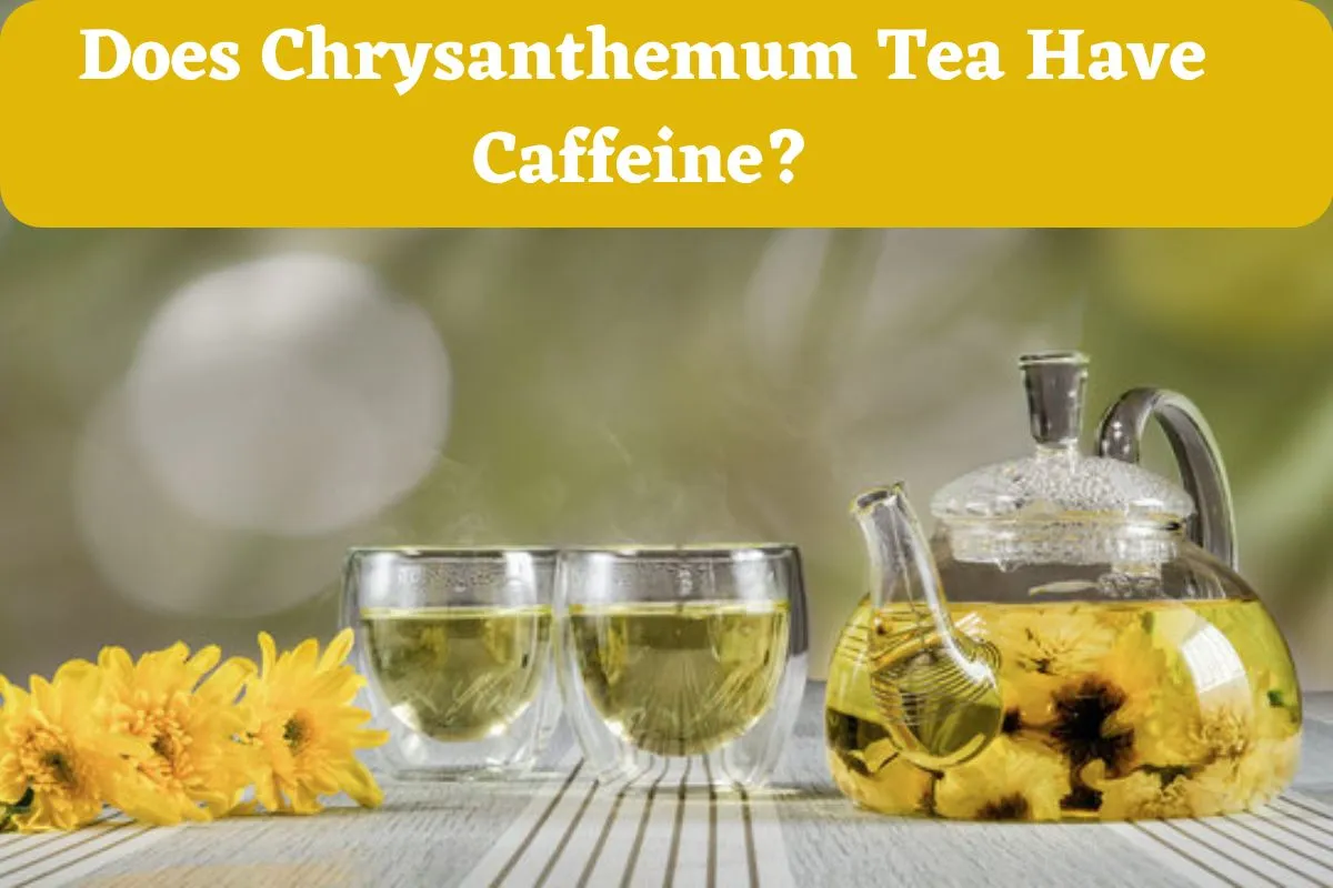 Does Chrysanthemum Tea Have Caffeine